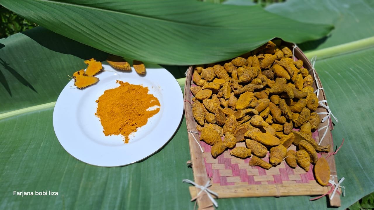 হলুদ গুড়া (1 Kg)