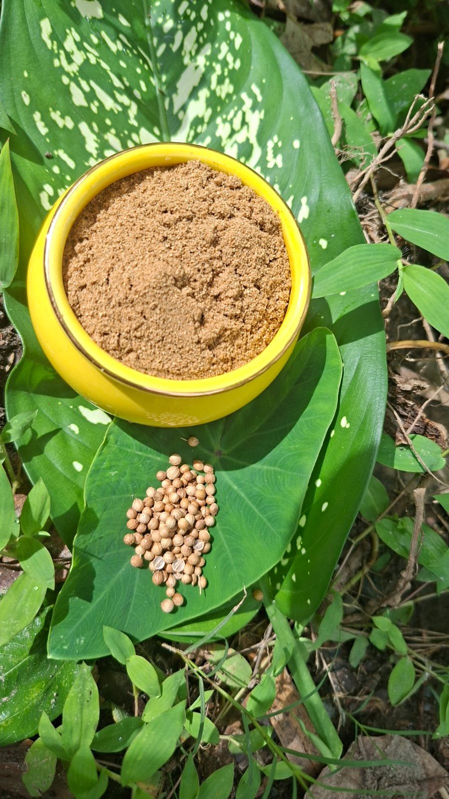 ধনিয়া গুঁড়া - Coriander Powder (1 Kg) - Image 2