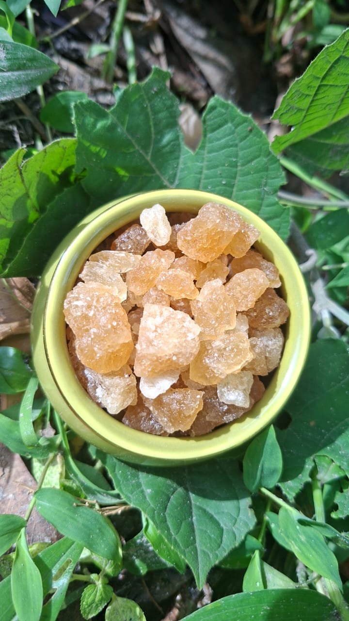 তালমিসরি - Palm Sugar (1 kg) - Image 2